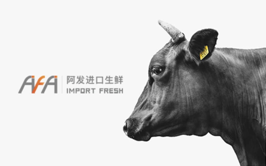 上海轻松盈科技-网站设计制作案例